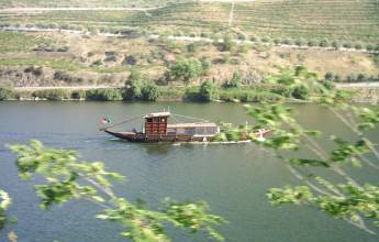 Cycling in the Douro Valley