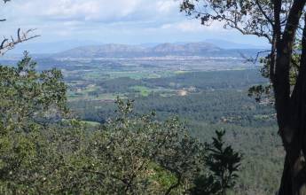 Catalan Classic Walk