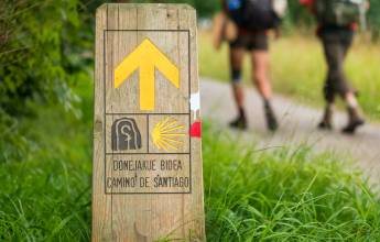 Walkers on the Caminso