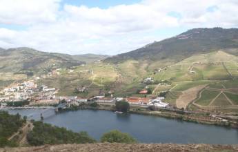 Cycling in the Douro Valley
