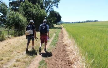 Best of the Cotswolds Self-Guided Walk