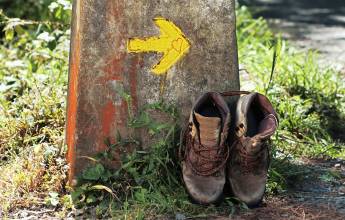 Highlights of the Camino de Santiago Walk