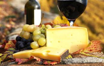 wine-and-cheese-in-vineyard