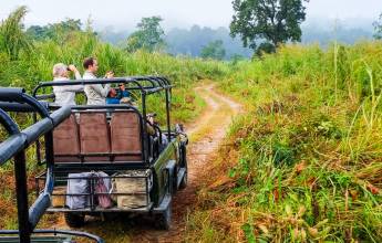Chitwan Safari Add-on Tour