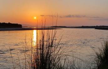 Chitwan Safari Add-on Tour