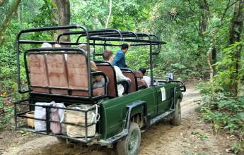 Chitwan Safari Add-on Tour