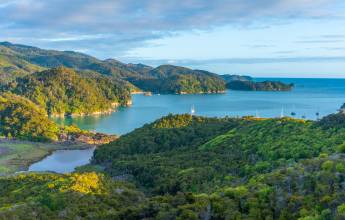 Discover New Zealand