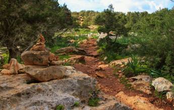 adonis_aphrodite_trails_shutterstock_1592874955