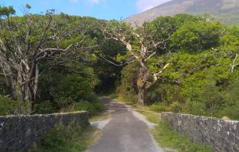 Unspoilt Ring of Kerry Cycling