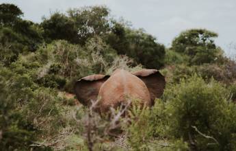 Cape Town & the Garden Route