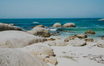 Cape Town and the Garden Route – Premium Adventure