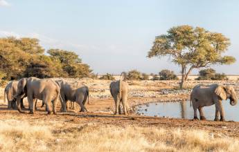 Botswana & Namibia: Delta & Dunes