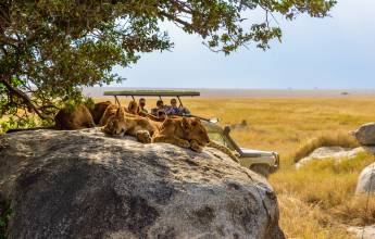 Tanzania Safari Adventure