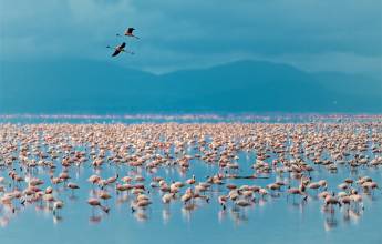 Safari Add-on Tour after Rongai Route