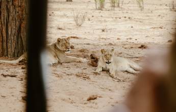 Botswana & Zimbabwe Lodge Safari