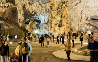 Best of the Garden Route – Premium Adventure