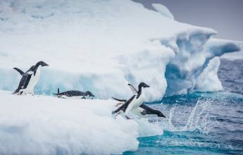 Antarctic Express: Crossing the Circle