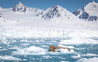 Spitsbergen Circumnavigation: A Rite of Passage