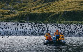 Antarctic Express: Fly the Drake
