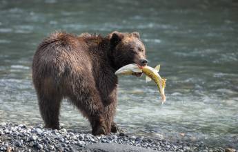 Walking Canada’s Sunshine Coast