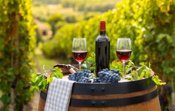 Loire Valley: Walks, Wine & Chateaux