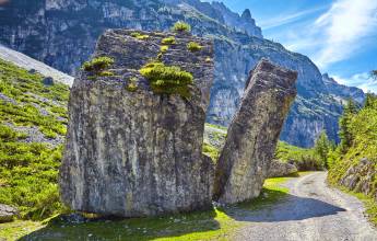 Alpine Walks in the Stubai Valley