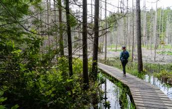 Walking Canada’s Sunshine Coast