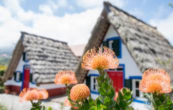 Walking the Island of Madeira