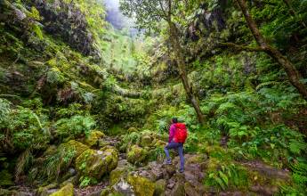 Walking the Island of Madeira
