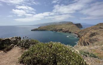 Walking the Island of Madeira