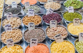 India’s Golden Triangle