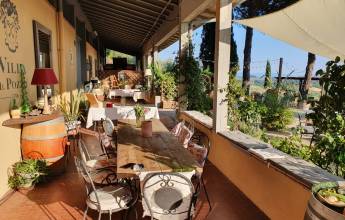 Tuscany Walks & Chianti Wines