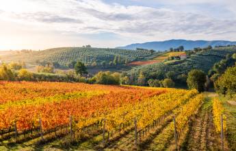 Walking in Rome, Assisi and Umbria – Premium Adventure