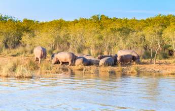 Southern Africa Safari: Kruger & Coast
