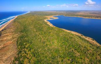 Southern Africa Safari: Kruger & Coast