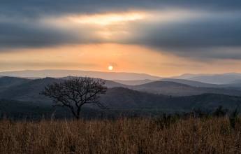 Southern Africa Safari: Kruger & Coast