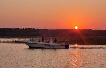 Southern Africa Safari: Kruger & Coast