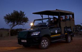 Southern Africa Safari: Kruger & Coast