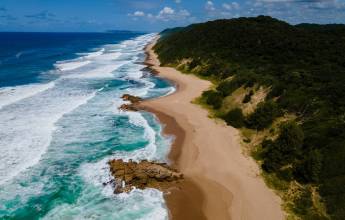 Southern Africa Safari: Kruger & Coast