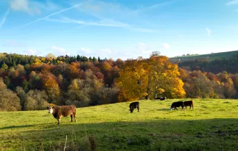 Cycle the Cotswolds: Oxford to Bath – Private Group Adventure