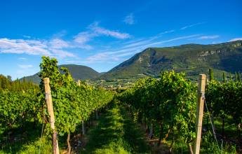 Cycling Lake Garda by e-bike