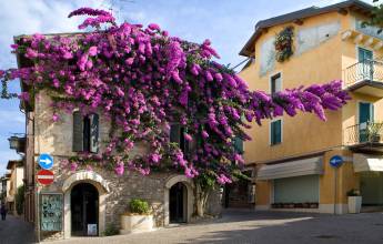 Cycling Lake Garda by e-bike