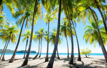 Costa Rica Active Escape