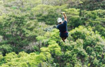 Active Costa Rica: Waterways & Wildlife