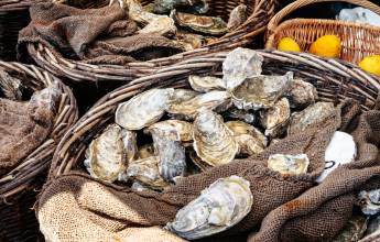 Cycle Northern France: Brittany to Normandy