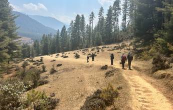 Festivals of Bhutan – Paro