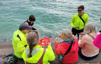Cycle Northern France: Brittany to Normandy
