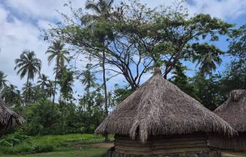 Colombia: Culture, Coffee & Caribbean