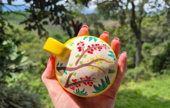 Colombia: Culture, Coffee & Caribbean