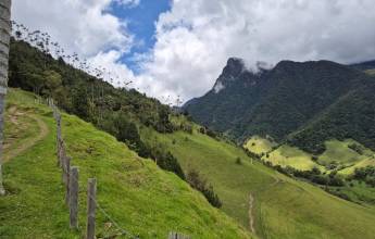 Colombia: Culture, Coffee & Caribbean
